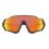 Gafas Sol Oakley Flight Jacket Negro Lente Prizm Ruby Polarized |OO9401-0837|