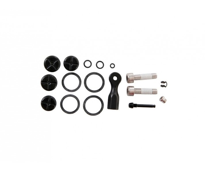 Kit Avid Piston +Tornillo Pinza Code/Code-R