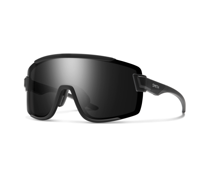 Gafas Smith Wildcat Negro Mate Lente Negro