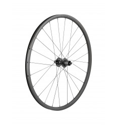Rueda Trasera Bontrager Paradigm SL Centerlock 24H 700c Plata Shimano HG