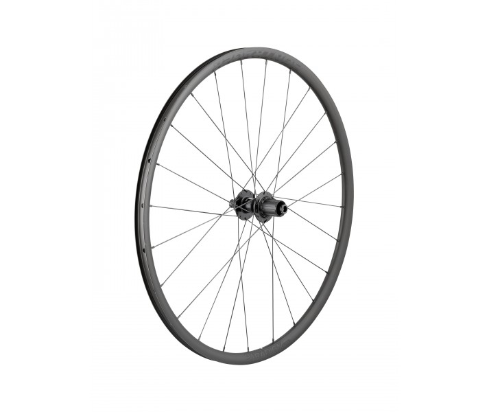 Rueda Trasera Bontrager Paradigm SL Centerlock 24H 700c Plata Shimano HG