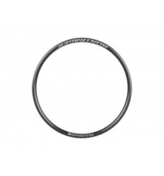 Llanta Bontrager Affinity TLR Disc 700c 36H