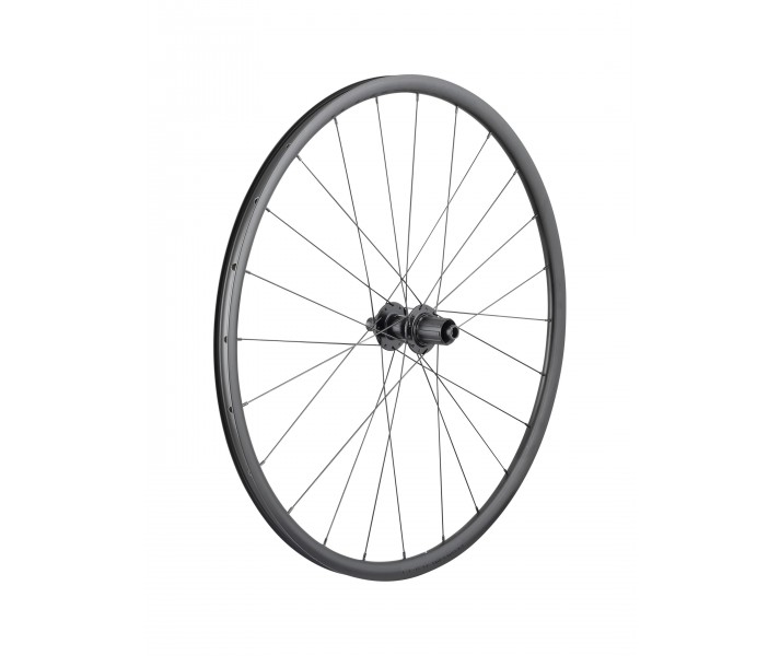 Rueda Trasera Bontrager Paradigm SL Centerlock 24H 700c Shimano HG