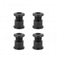 Absolute Black 4 L Screw Kit