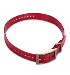 Correa de collar - Rojo