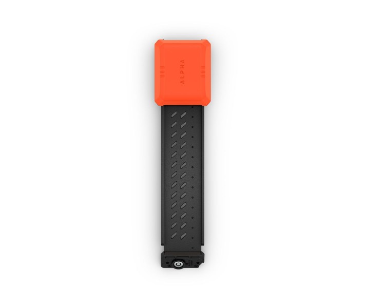 Correa flexible (collar para perros Alpha® T 20 K)