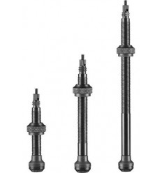 Juego De Valvulas Schwalbe Tubeless 100 Mm Aluminio Negro (2 Unidades)
