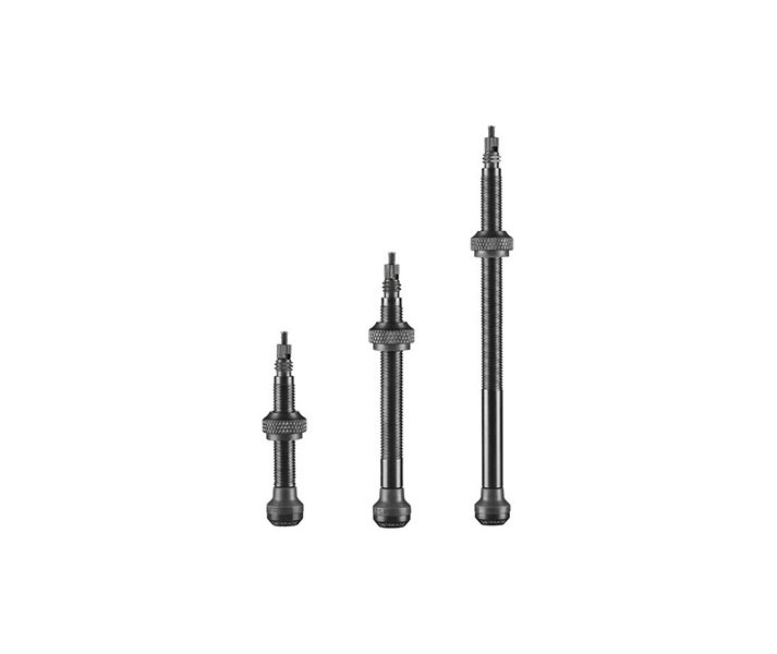 Juego De Valvulas Schwalbe Tubeless 100 Mm Aluminio Negro (2 Unidades)