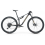 Bicicleta Megamo TRACK R100 10 29' 2025